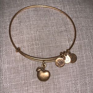 Alex and Ani Bangle